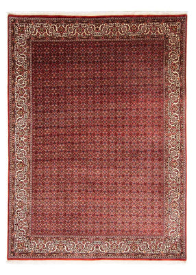 Tappeto Persero - Bidjar - 350 x 250 cm - rosso scuro