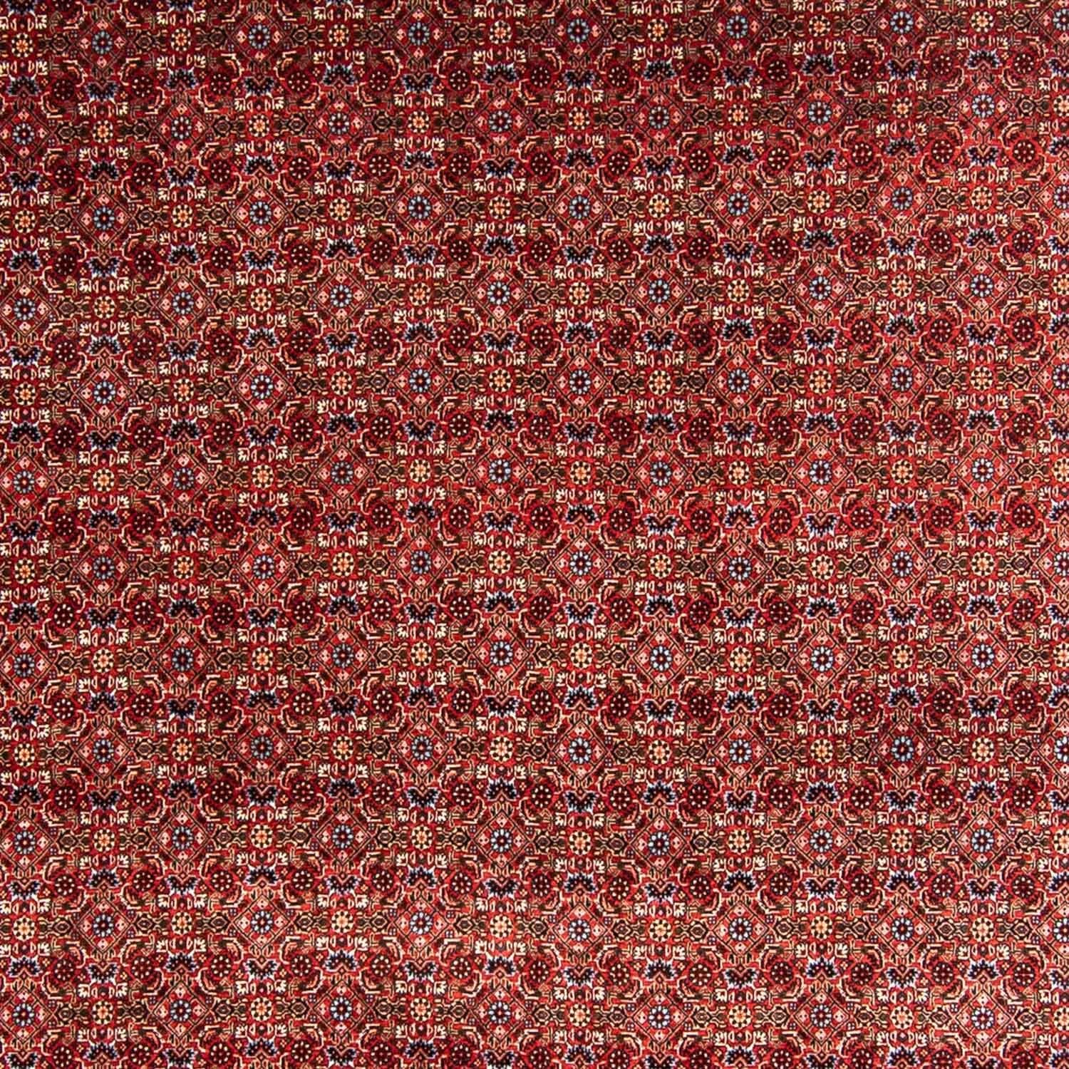 Tappeto Persero - Bidjar - 350 x 250 cm - rosso scuro
