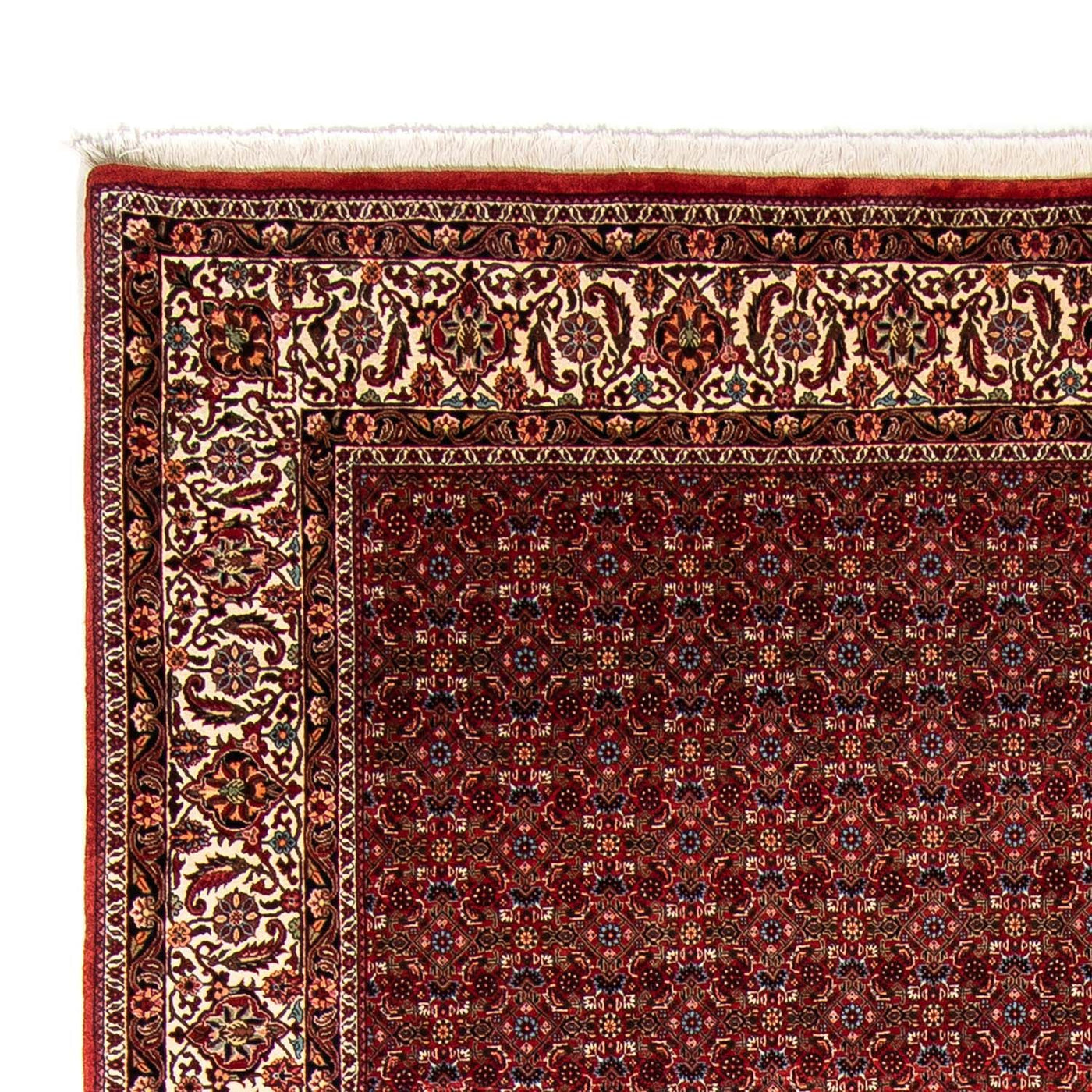 Bidjar Tappeto 350x250cm - Tappeto persiano