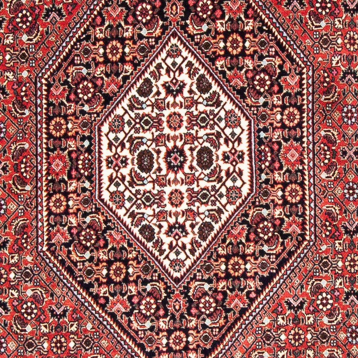 Tappeto Persero - Bidjar - 178 x 108 cm - rosso