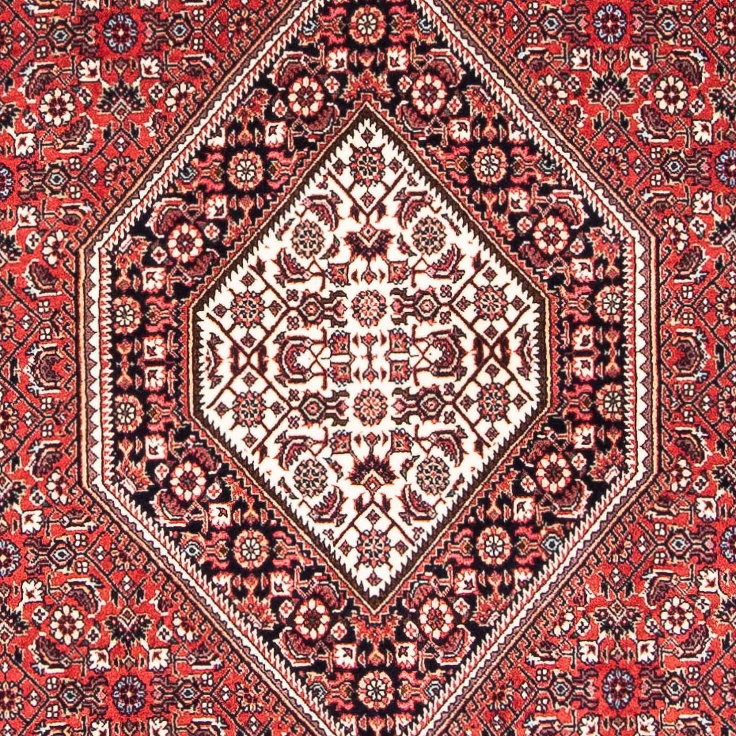 Tappeto Persero - Bidjar - 174 x 110 cm - rosso chiaro