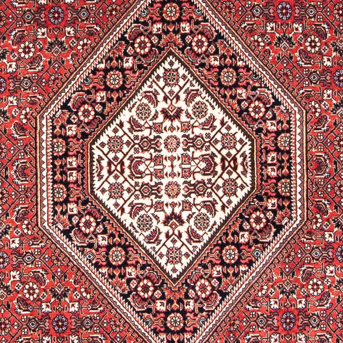 Tappeto Persero - Bidjar - 174 x 110 cm - rosso chiaro