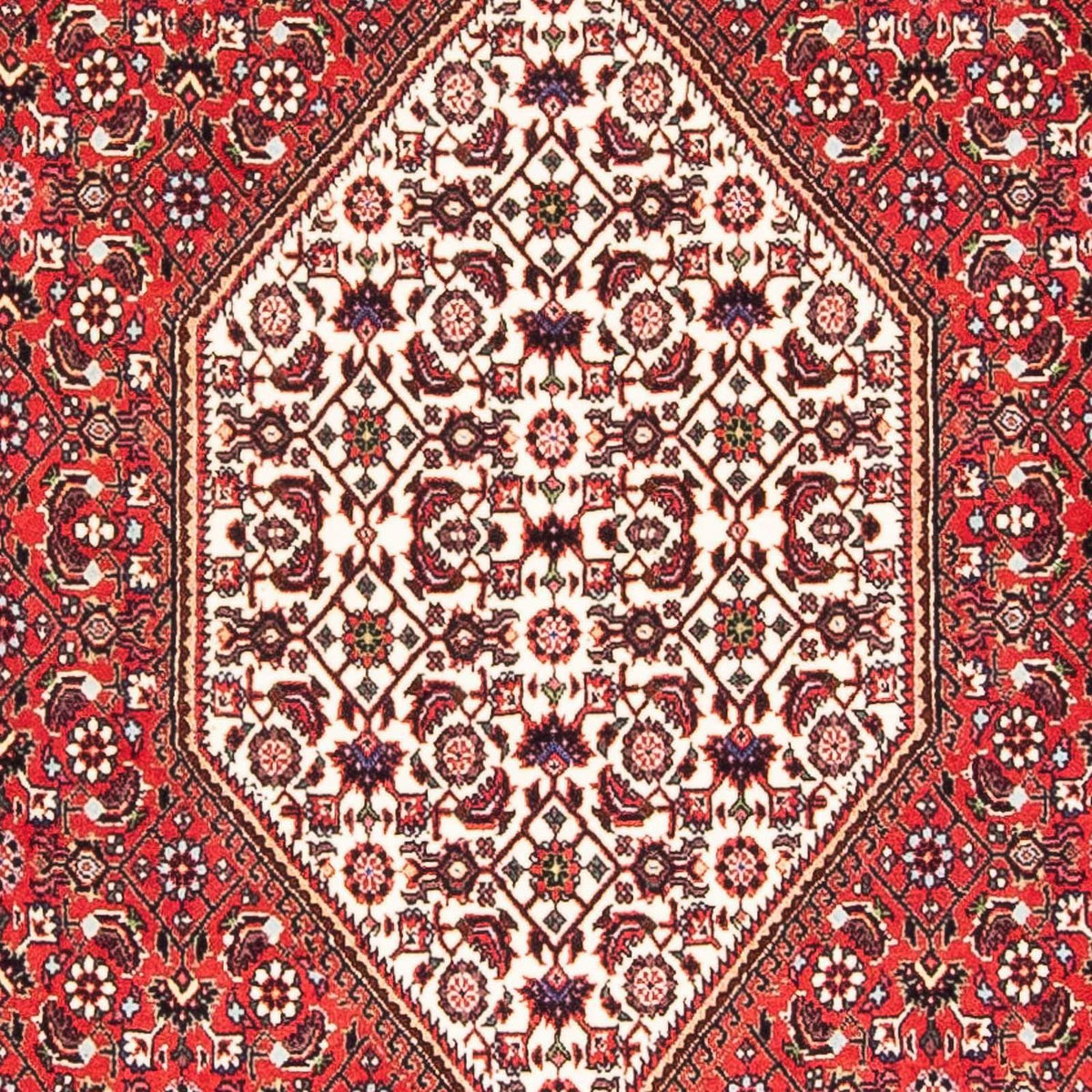Tappeto Persero - Bidjar - 175 x 110 cm - rosso