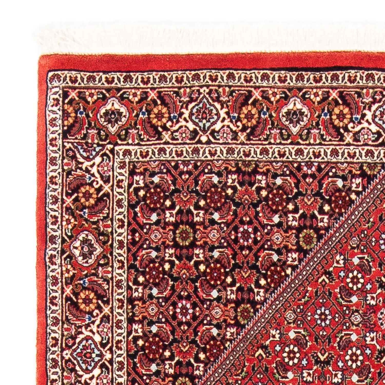 Tappeto Persero - Bidjar - 175 x 110 cm - rosso