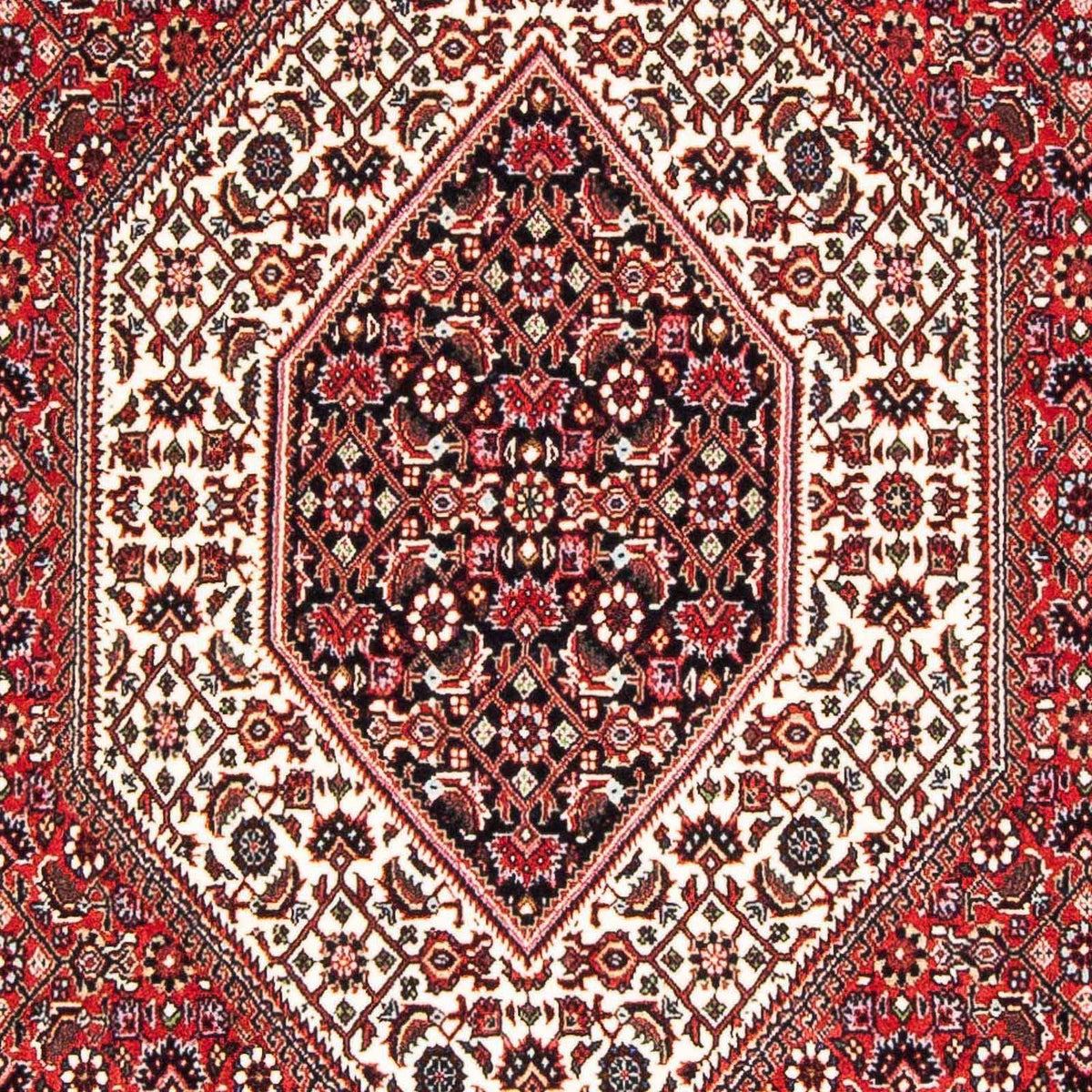 Tappeto Persero - Bidjar - 177 x 110 cm - rosso