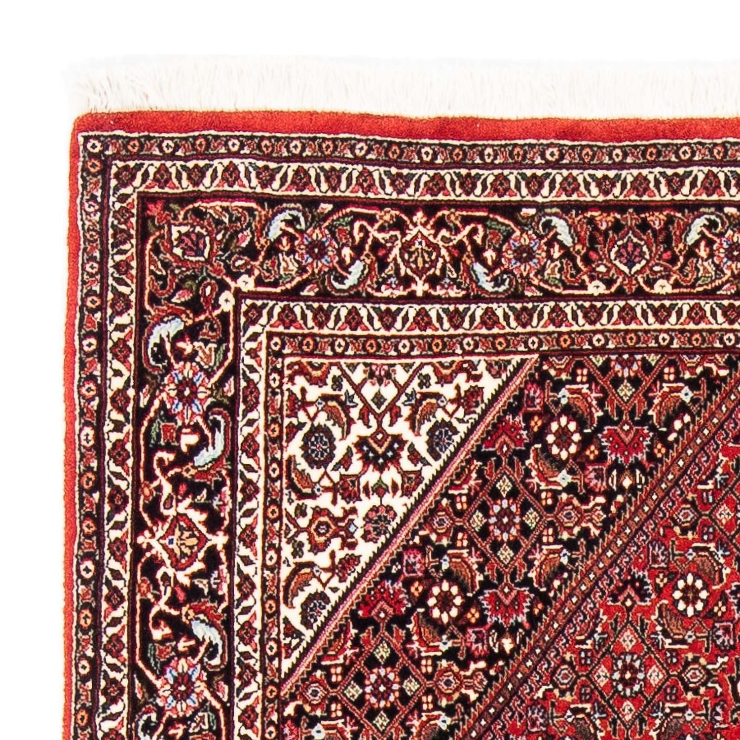 Tappeto Persero - Bidjar - 177 x 110 cm - rosso