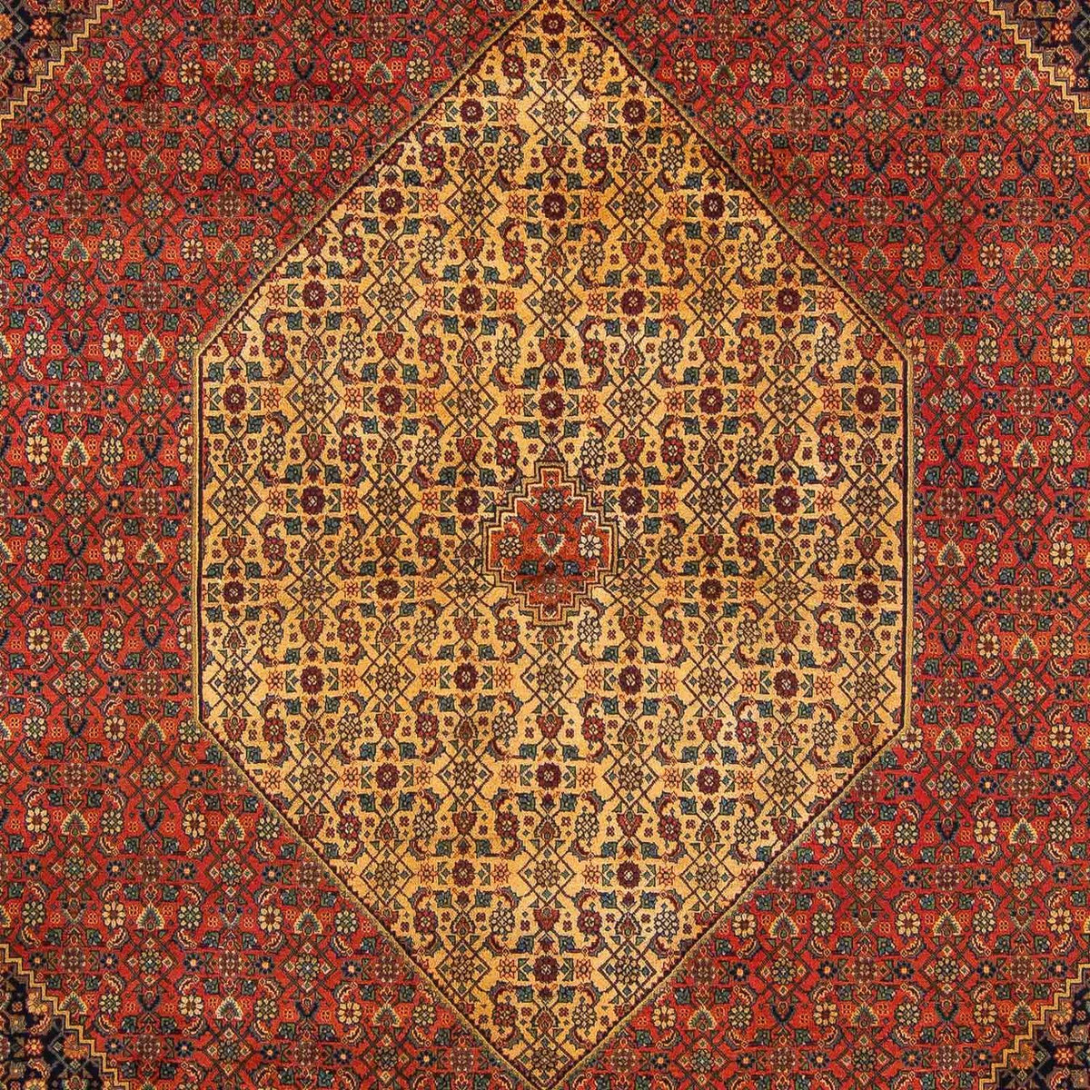 Tappeto Persero - Tabriz - Reale - 337 x 251 cm - rosso scuro