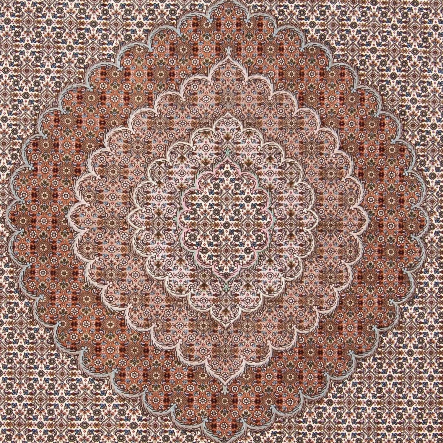 Tappeto Persero - Tabriz - 288 x 251 cm - multicolore