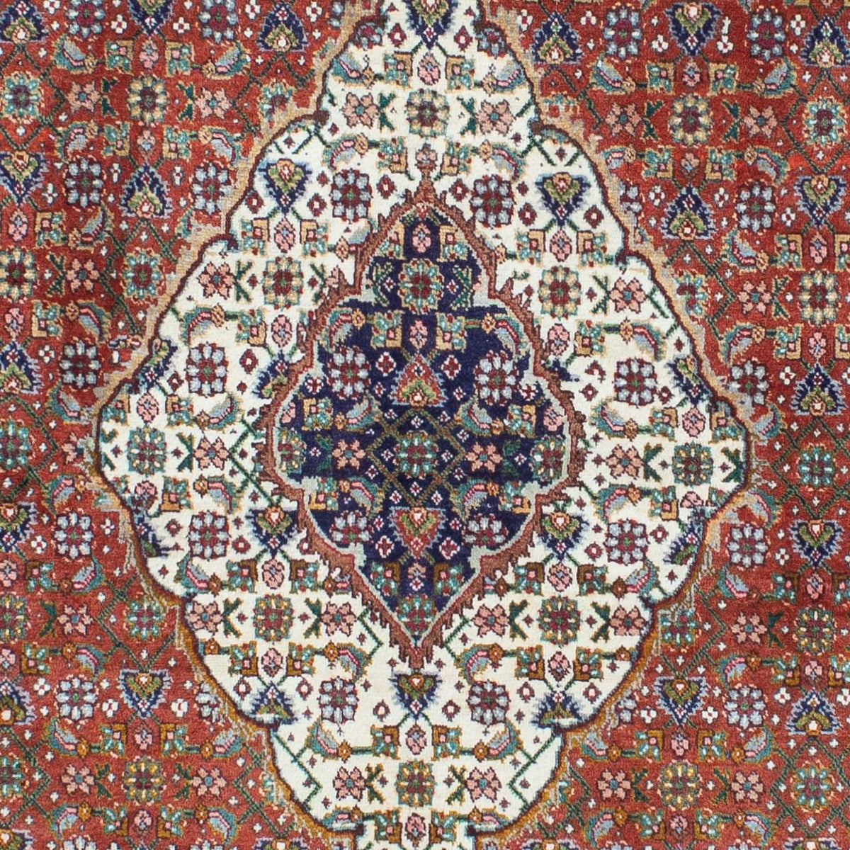 Tappeto Persero - Tabriz - 209 x 152 cm - ruggine