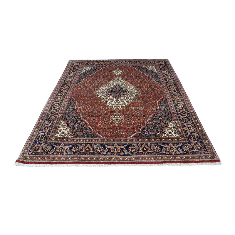 Tappeto Persero - Tabriz - 209 x 152 cm - ruggine