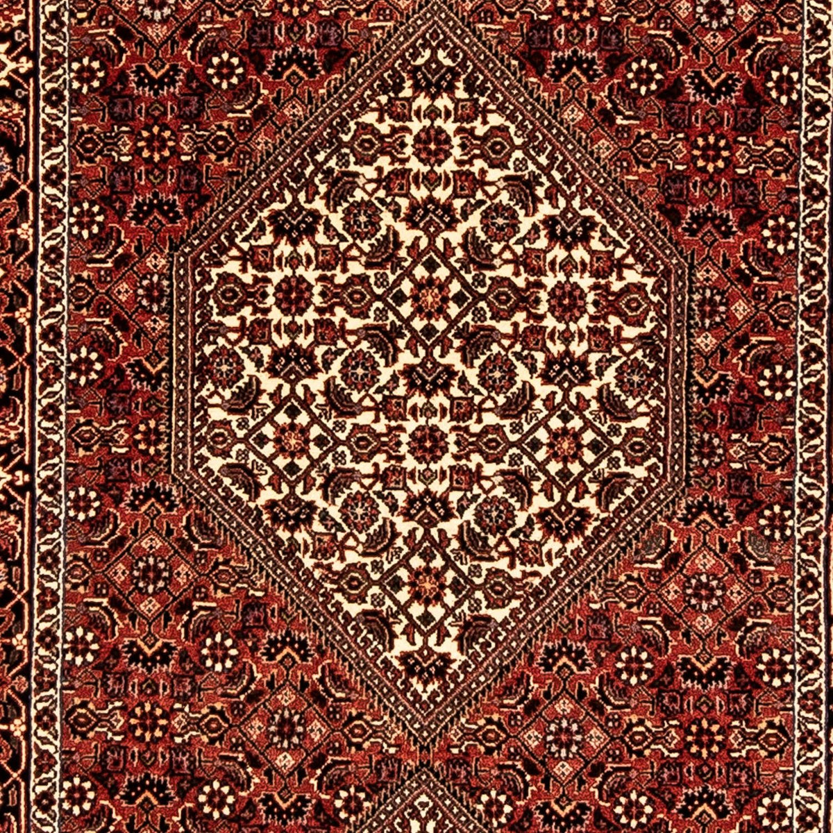 Tappeto corsia Tappeto Persero - Bidjar - 318 x 83 cm - rosso scuro