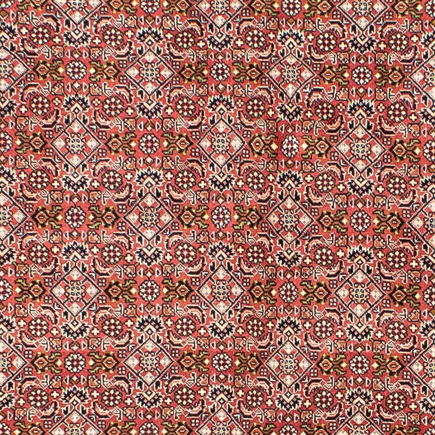 Tappeto Persero - Bidjar - 215 x 136 cm - rosso chiaro