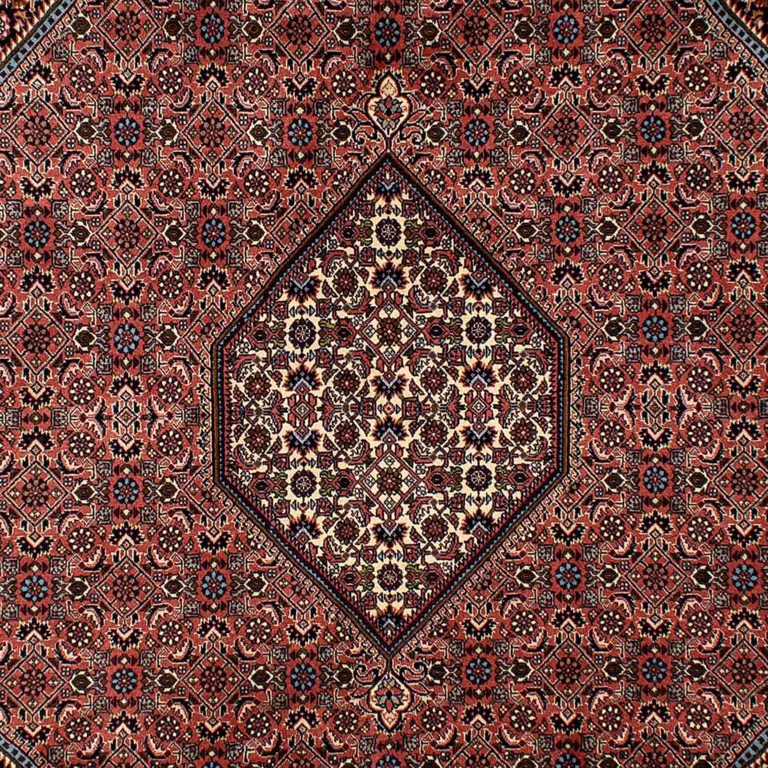 Tappeto Persero - Bidjar - 296 x 201 cm - marrone