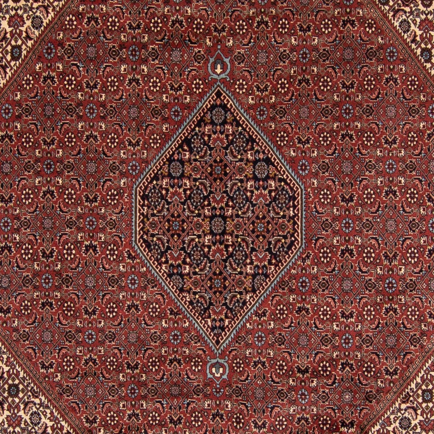 Tappeto Persero - Bidjar - 342 x 250 cm - marrone