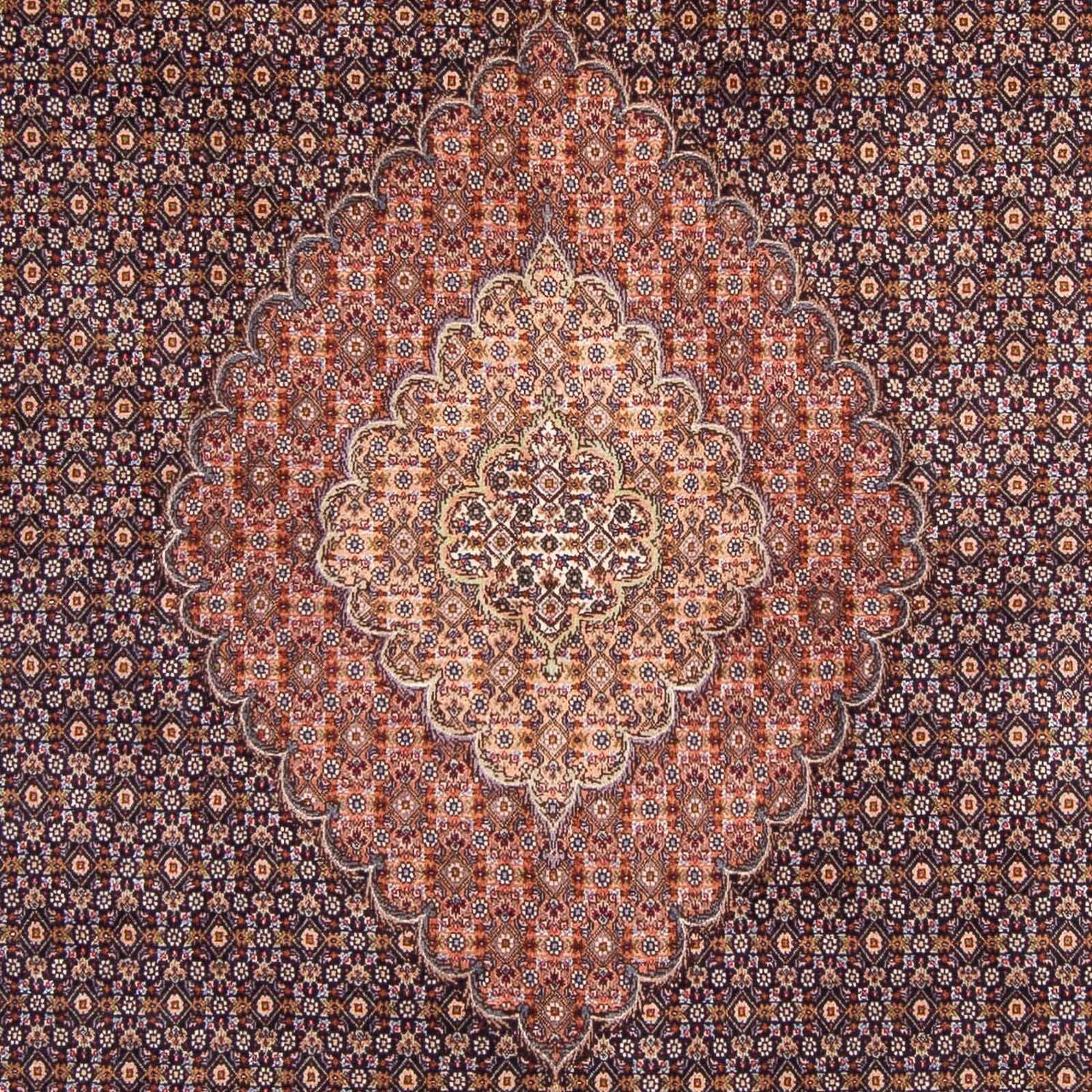 Tappeto Persero - Tabriz - 310 x 202 cm - blu scuro