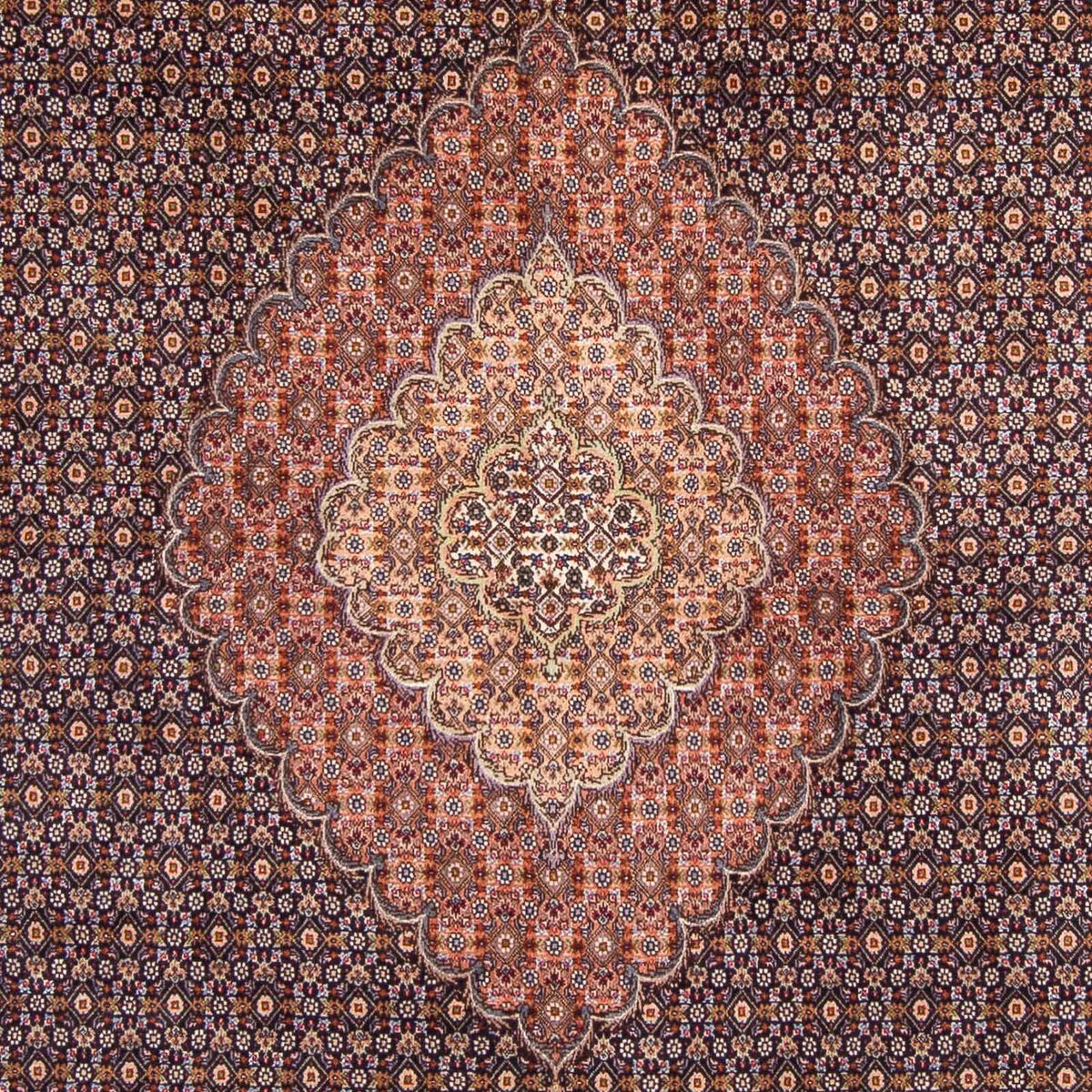 Tappeto Persero - Tabriz - 310 x 202 cm - blu scuro