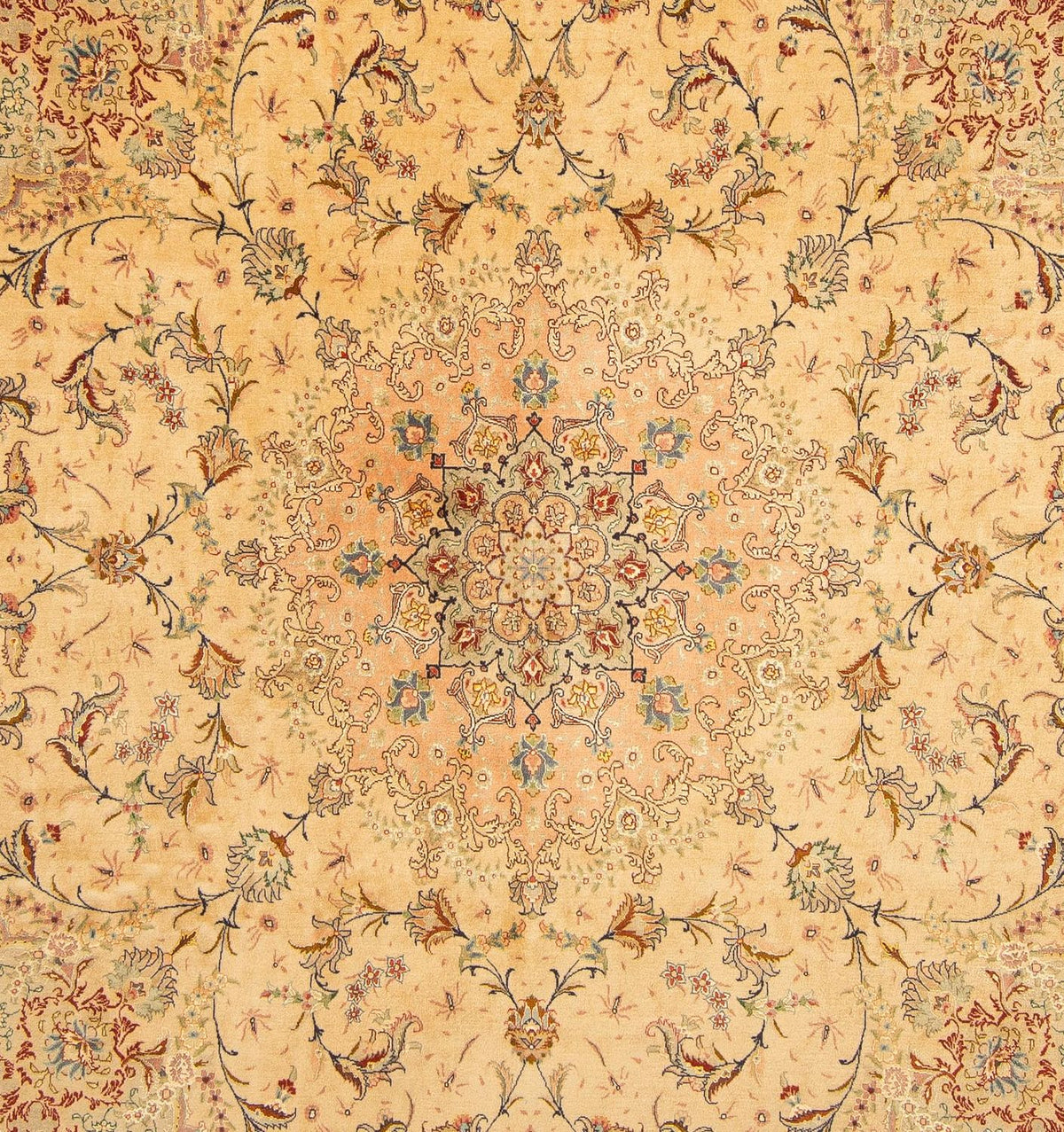 Tappeto Persero - Tabriz - Reale - 261 x 243 cm - beige
