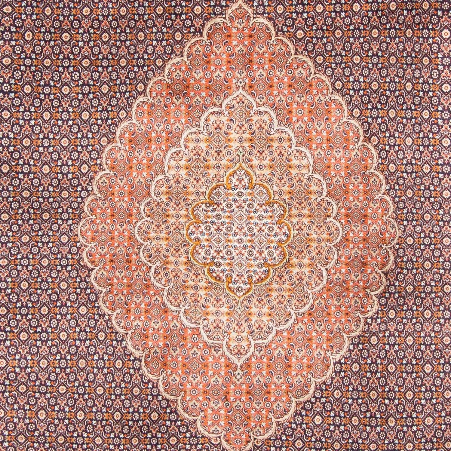 Tappeto Persero - Tabriz - 312 x 206 cm - blu scuro