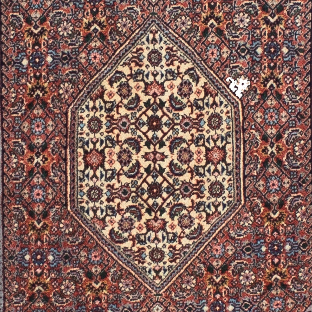 Tappeto corsia Tappeto Persero - Bidjar - 287 x 70 cm - multicolore