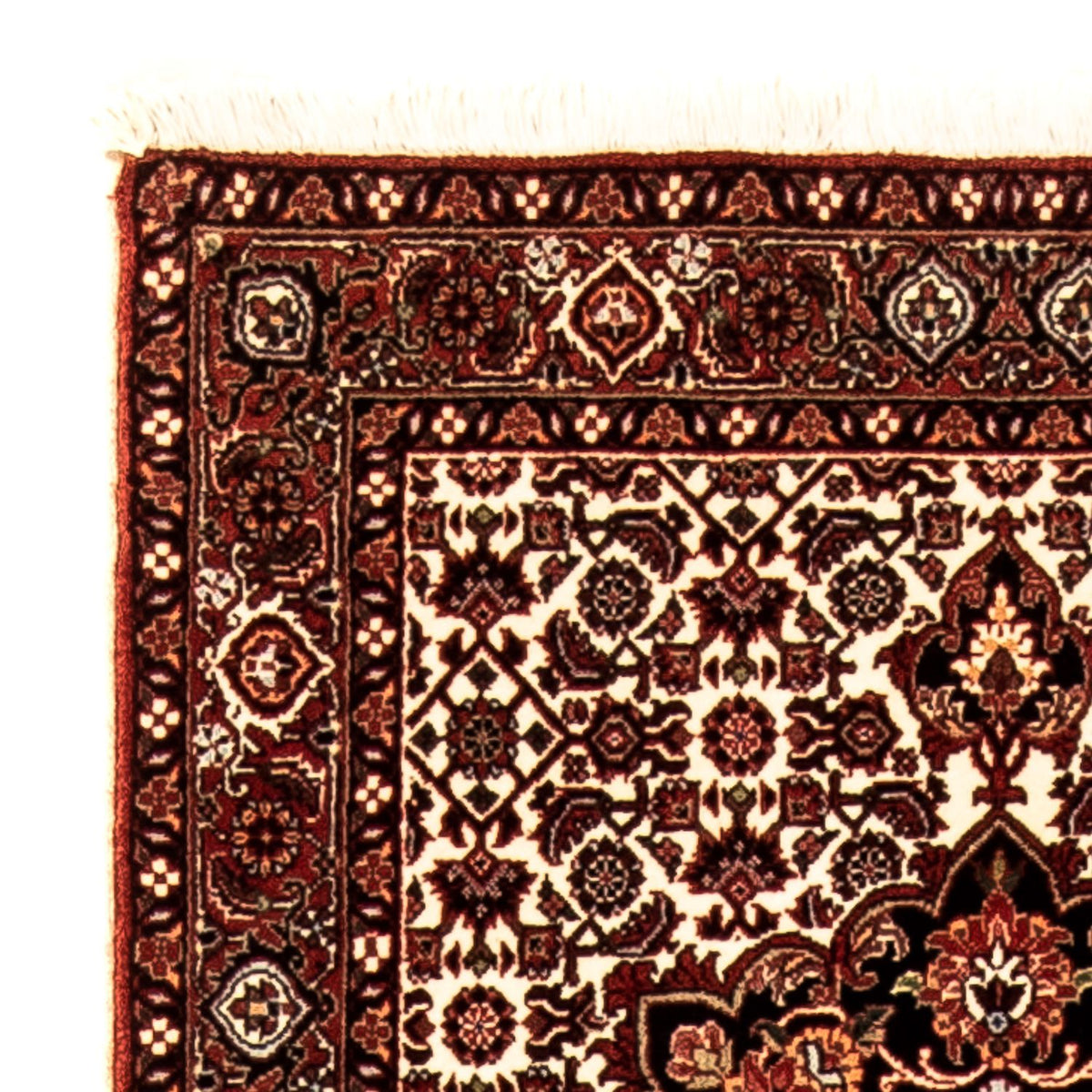 Tappeto corsia Tappeto Persero - Bidjar - 248 x 70 cm - beige