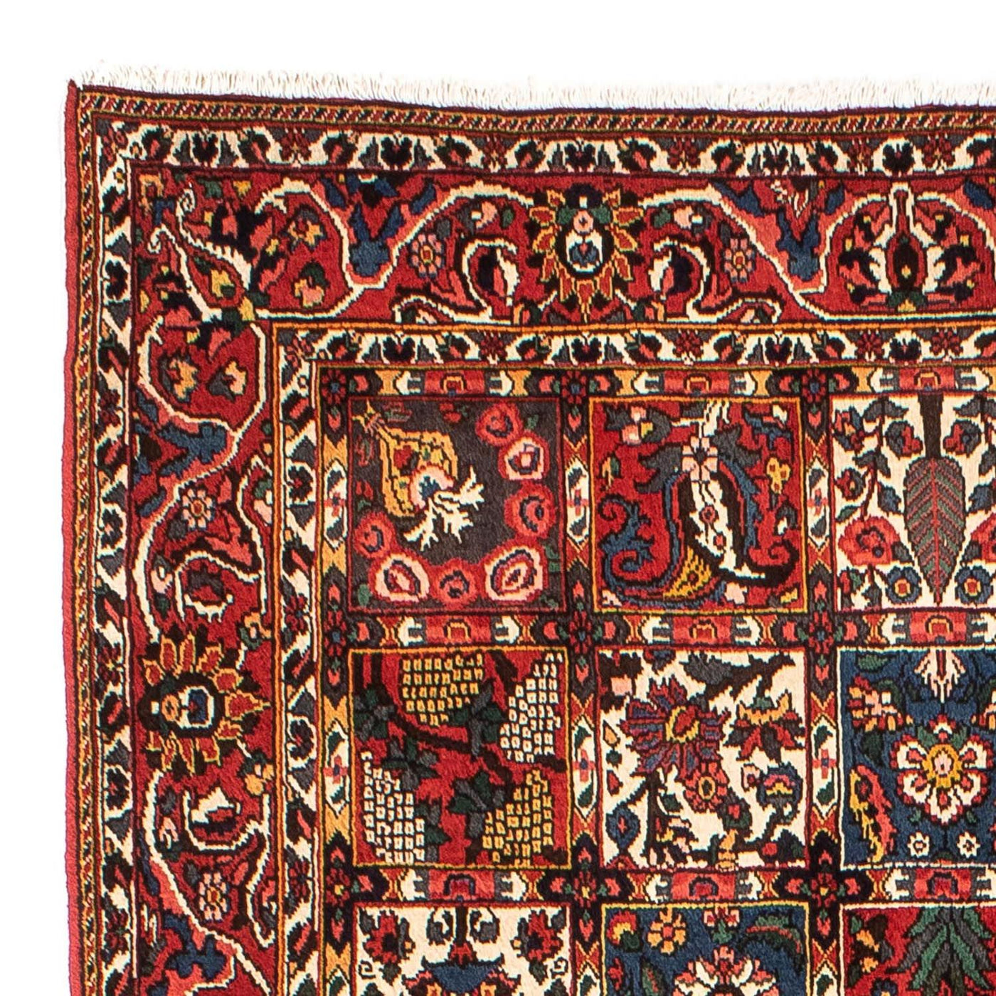 Bachtiar Tappeto 246x161cm - Tappeto persiano