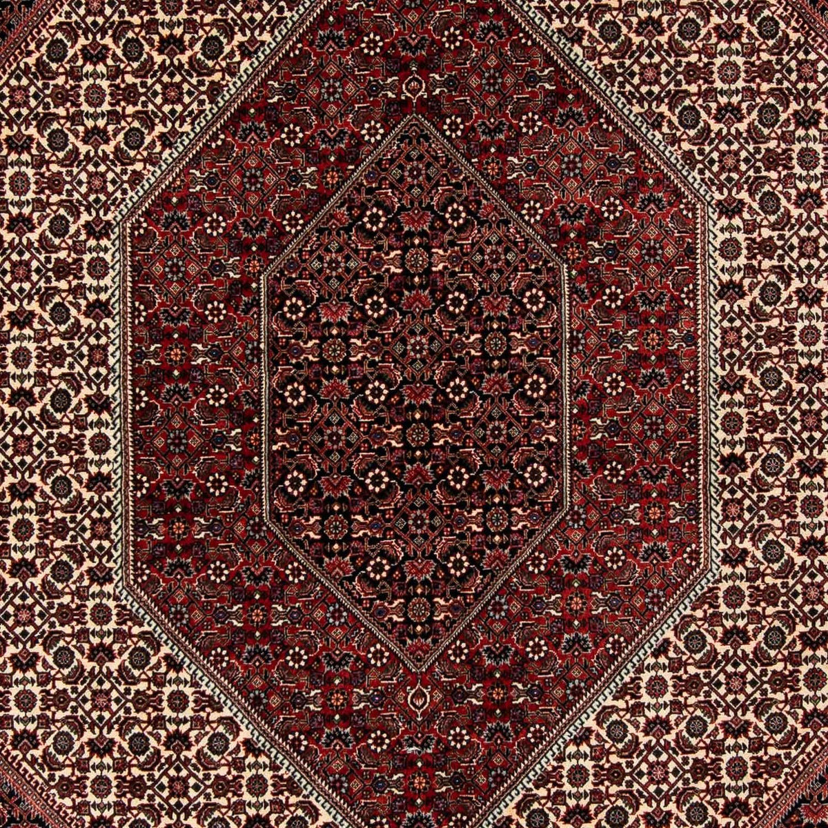 Tappeto Persero - Bidjar - 267 x 201 cm - rosso scuro