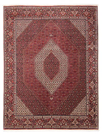 Tappeto Persero - Bidjar - 297 x 250 cm - rosso scuro