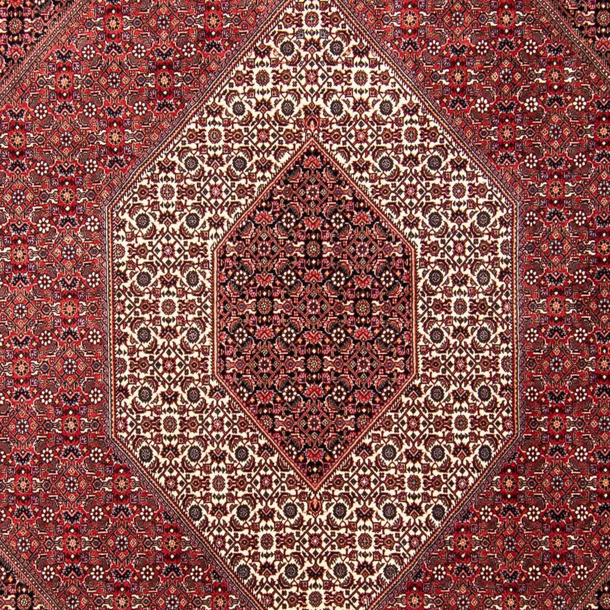Tappeto Persero - Bidjar - 297 x 250 cm - rosso scuro