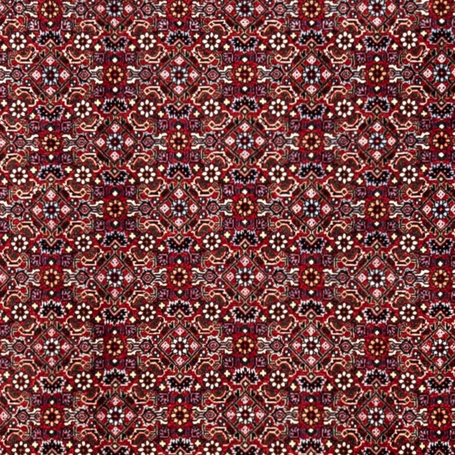 Tappeto Persero - Bidjar - 340 x 252 cm - rosso