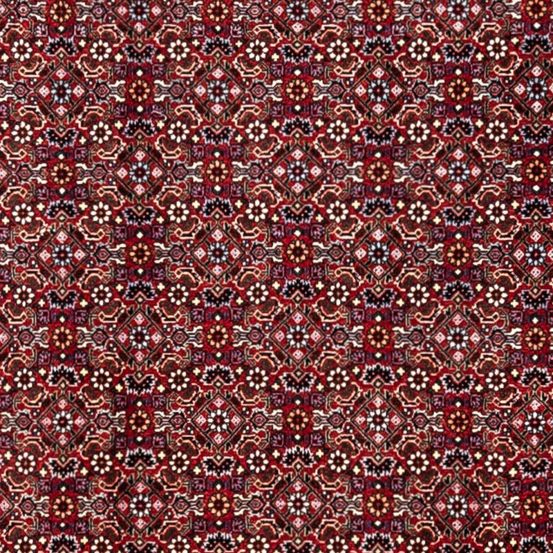 Tappeto Persero - Bidjar - 340 x 252 cm - rosso