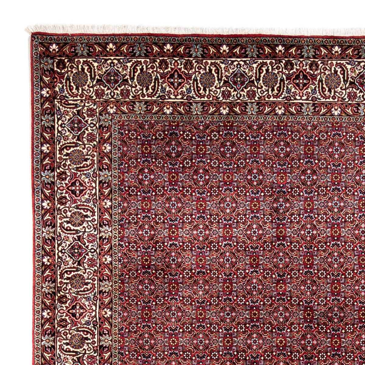 Tappeto Persero - Bidjar - 340 x 252 cm - rosso