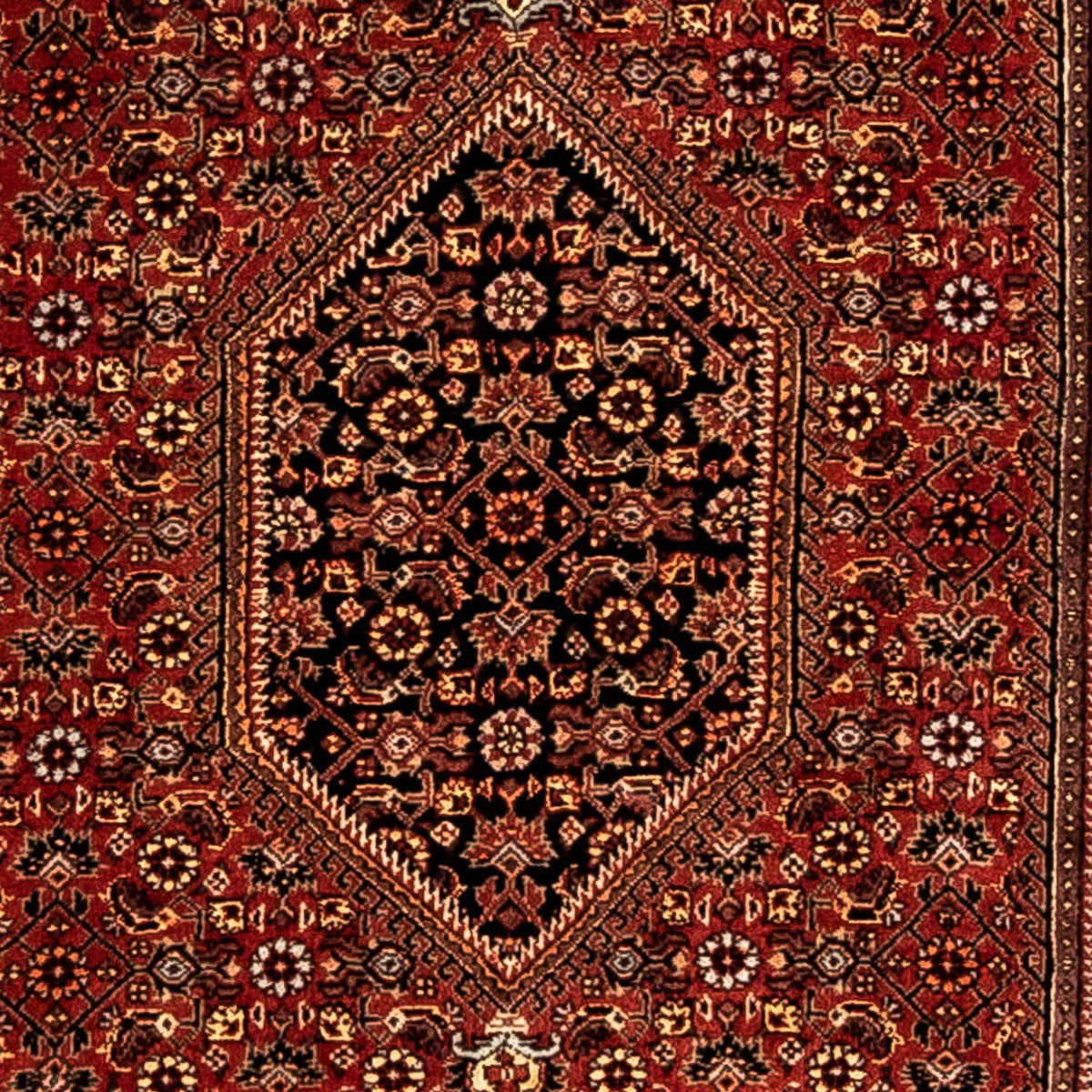 Tappeto corsia Tappeto Persero - Bidjar - 277 x 80 cm - rosso scuro