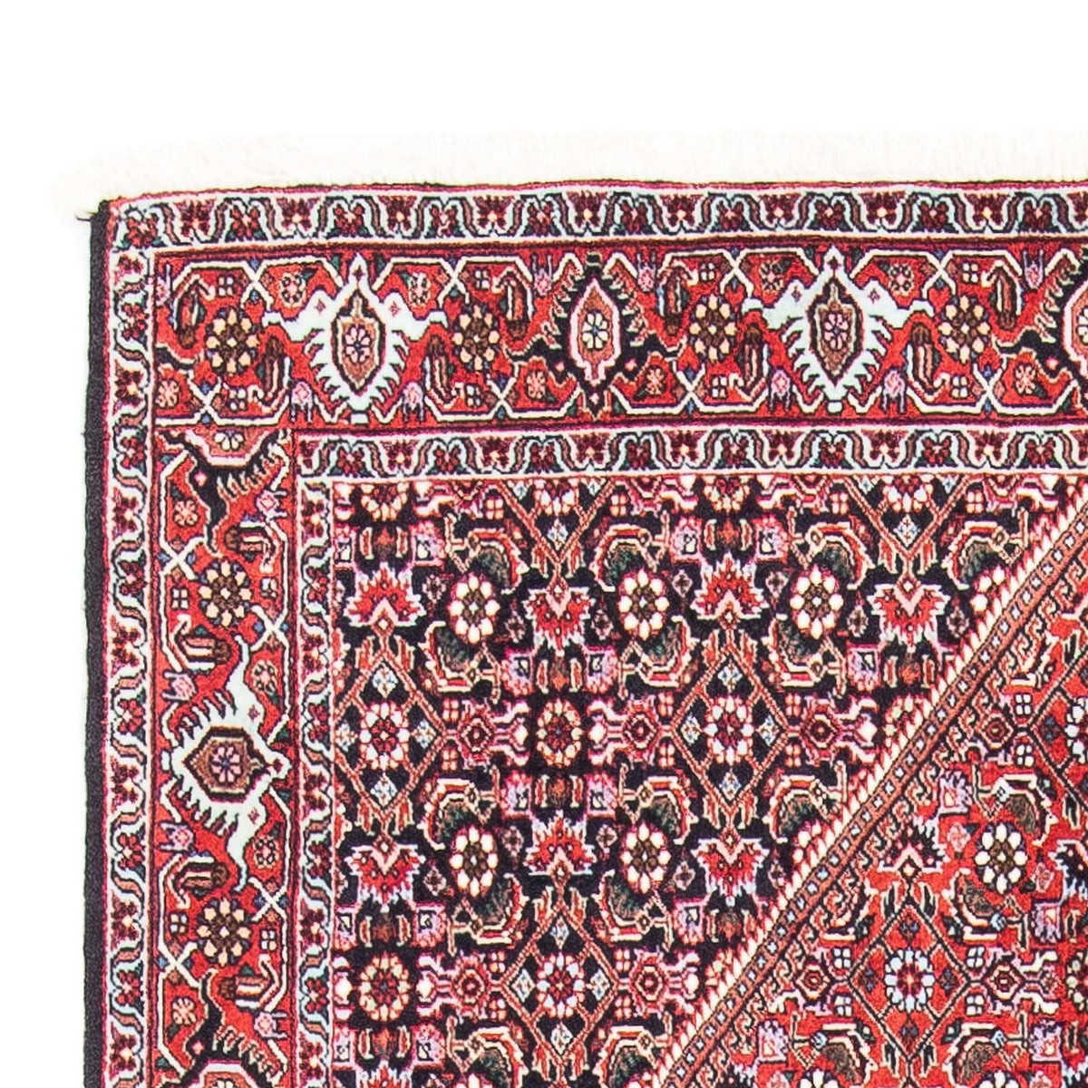Bidjar Tappeto 106x169cm - Tappeto persiano