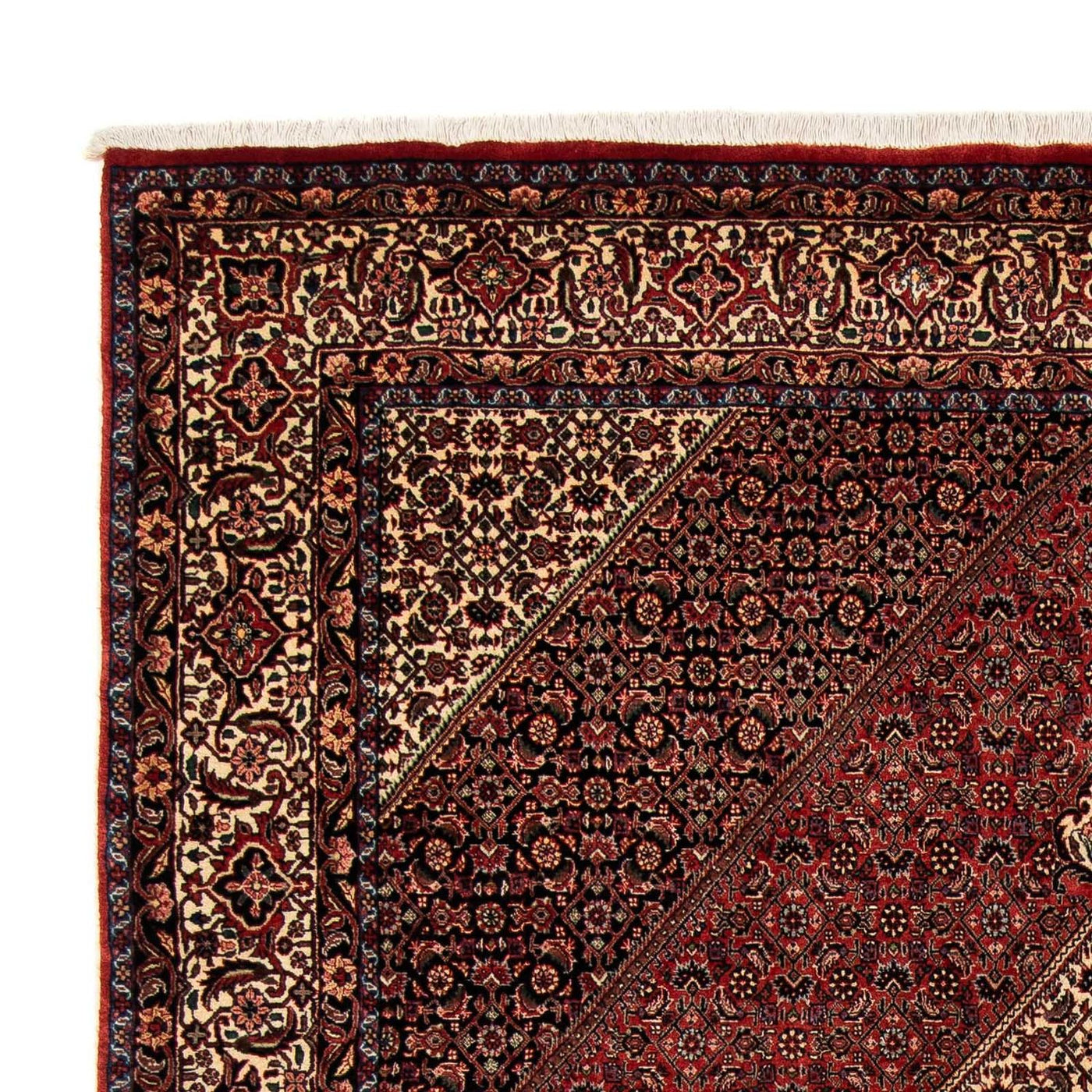 Bidjar Tappeto 259x201cm - Tappeto persiano