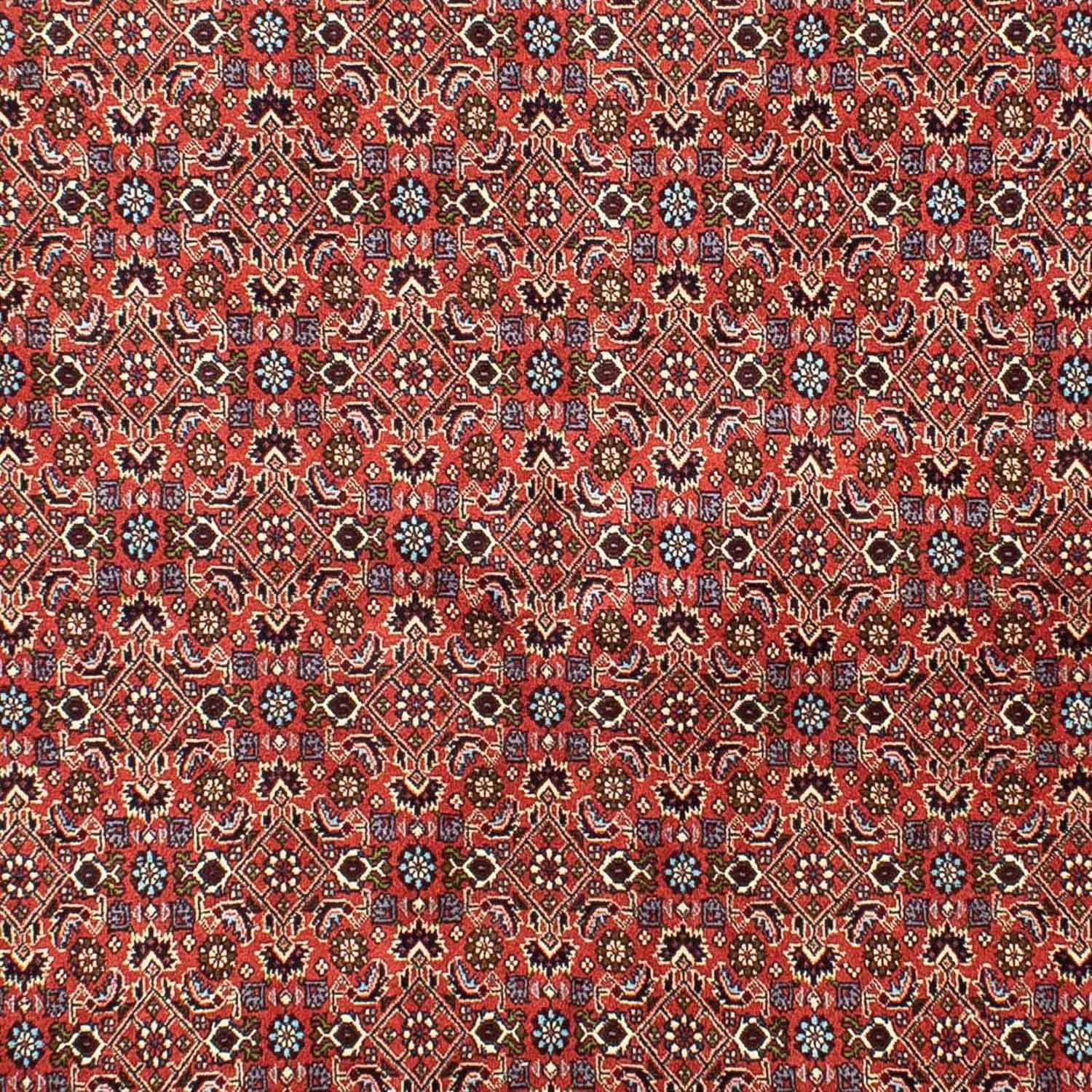 Tappeto Persero - Bidjar - 288 x 202 cm - rosso chiaro