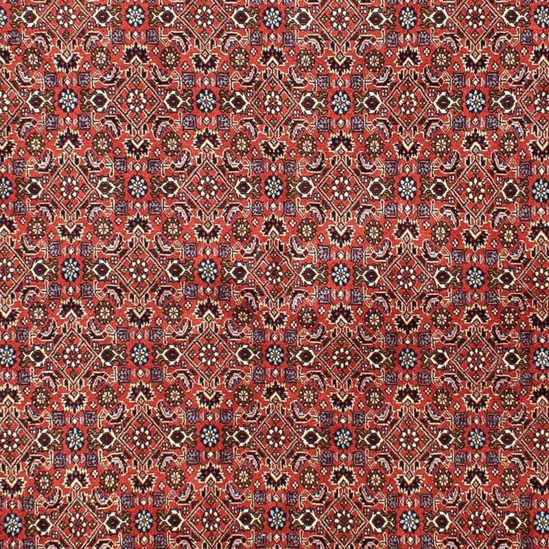 Tappeto Persero - Bidjar - 288 x 202 cm - rosso chiaro