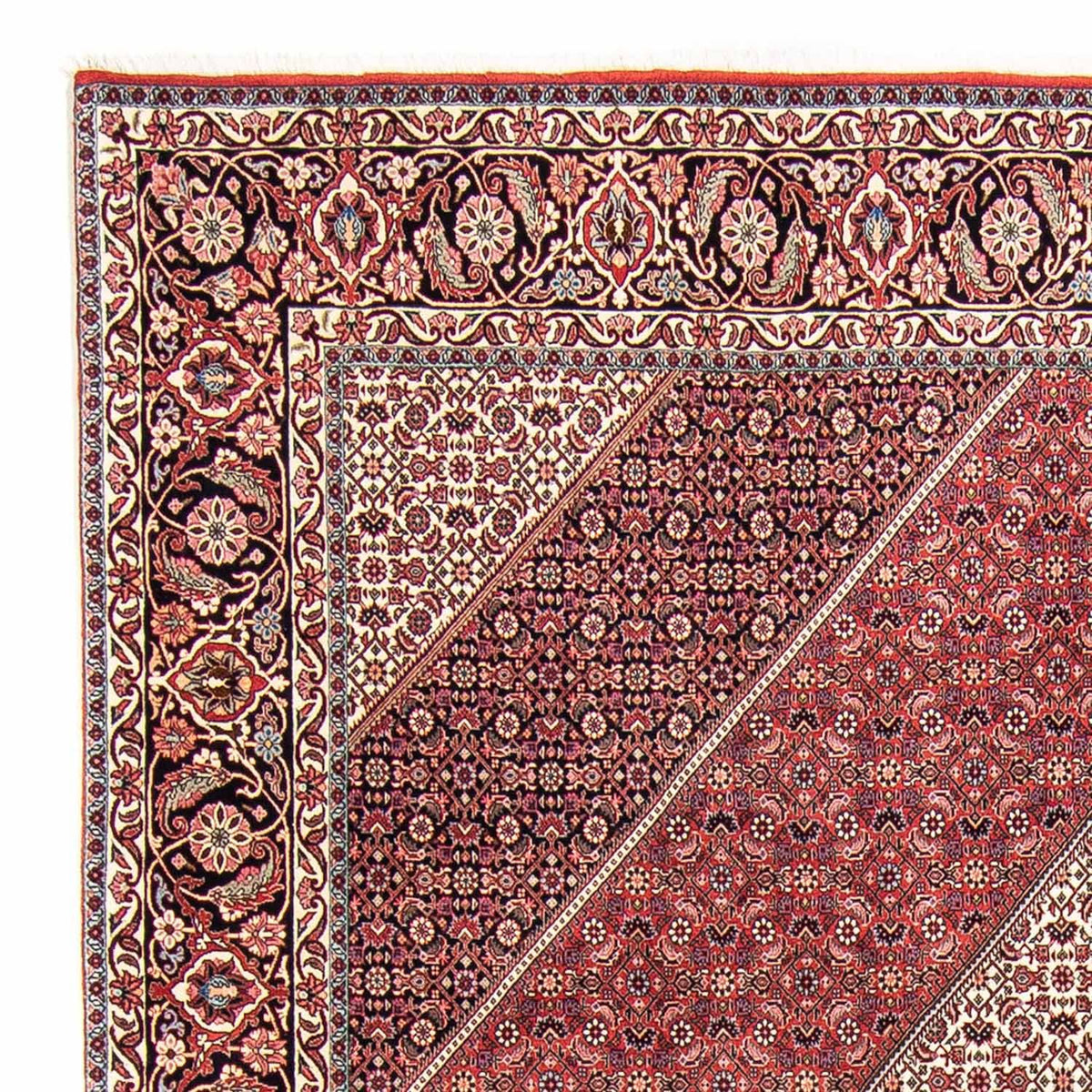Tappeto Persero - Bidjar - 295 x 253 cm - rosso scuro