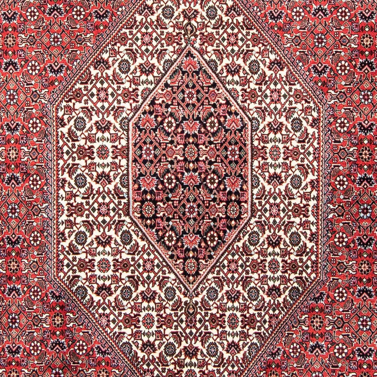 Tappeto Persero - Bidjar - 250 x 168 cm - rosso chiaro