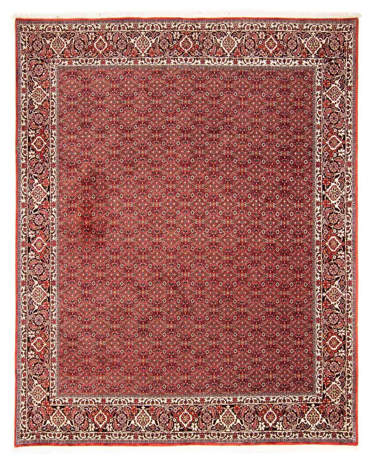 Tappeto Persero - Bidjar - 290 x 250 cm - rosso