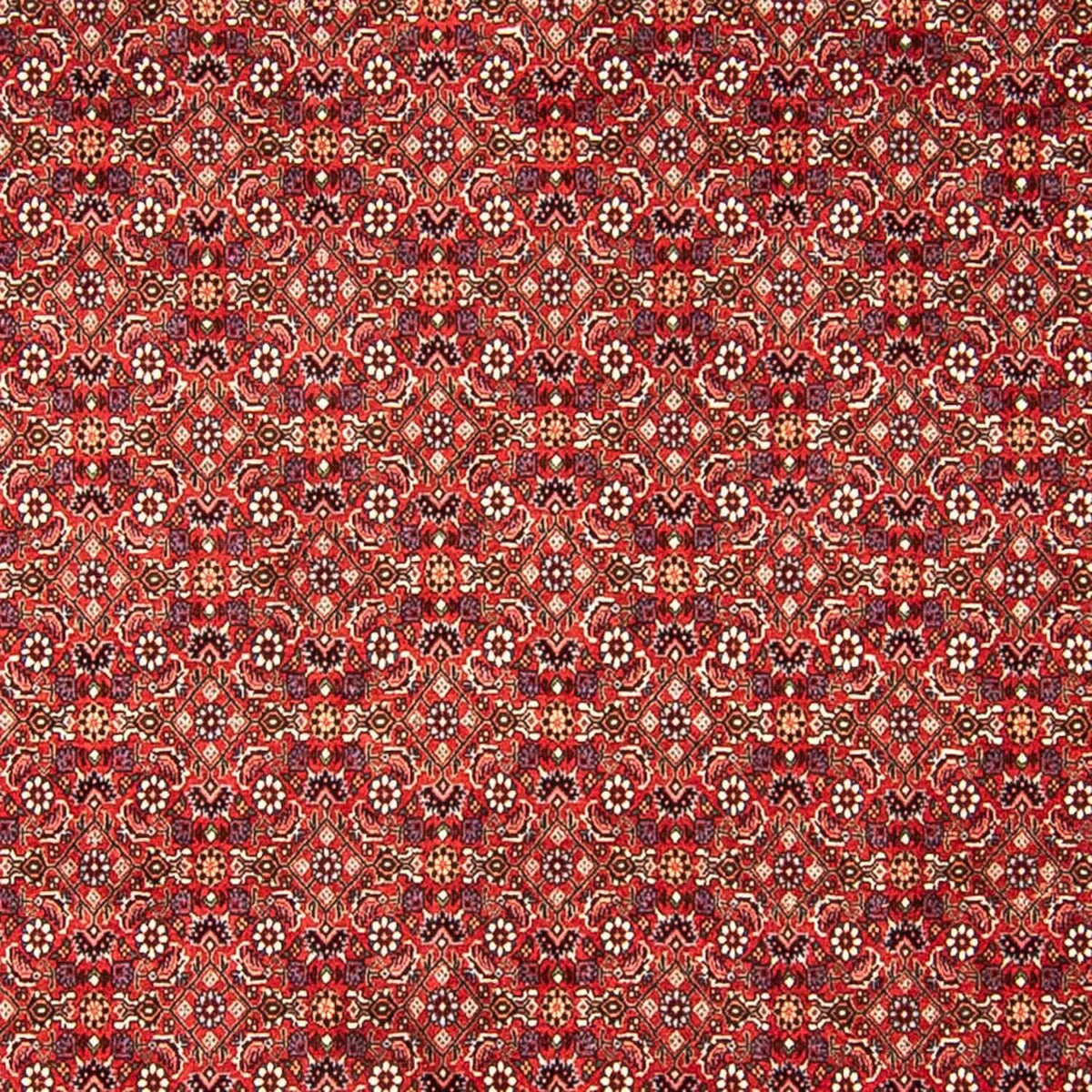 Tappeto Persero - Bidjar - 290 x 250 cm - rosso