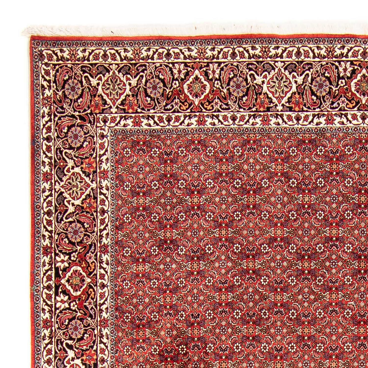 Tappeto Persero - Bidjar - 290 x 250 cm - rosso