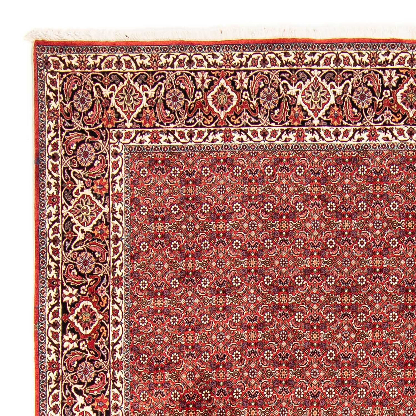 Bidjar Tappeto 290x250cm - Tappeto persiano