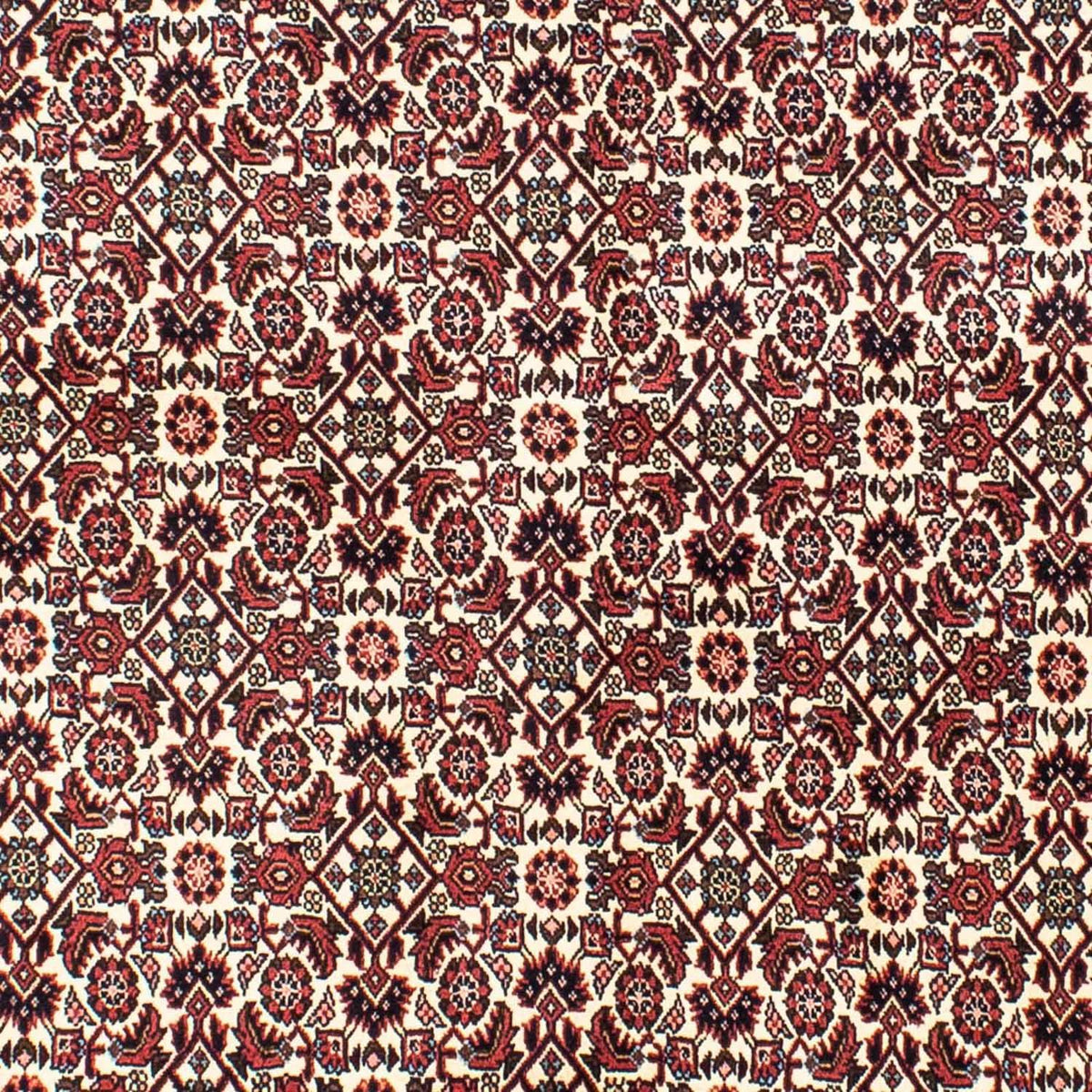 Tappeto Persero - Bidjar - 202 x 145 cm - beige