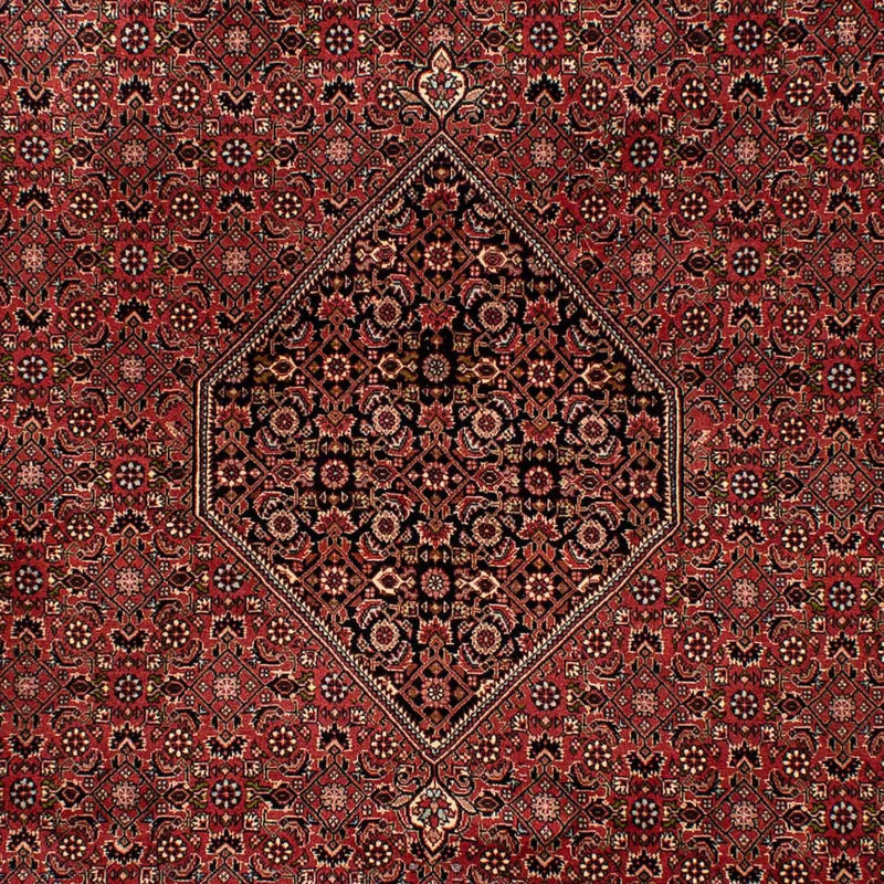 Tappeto Persero - Bidjar - 300 x 202 cm - marrone
