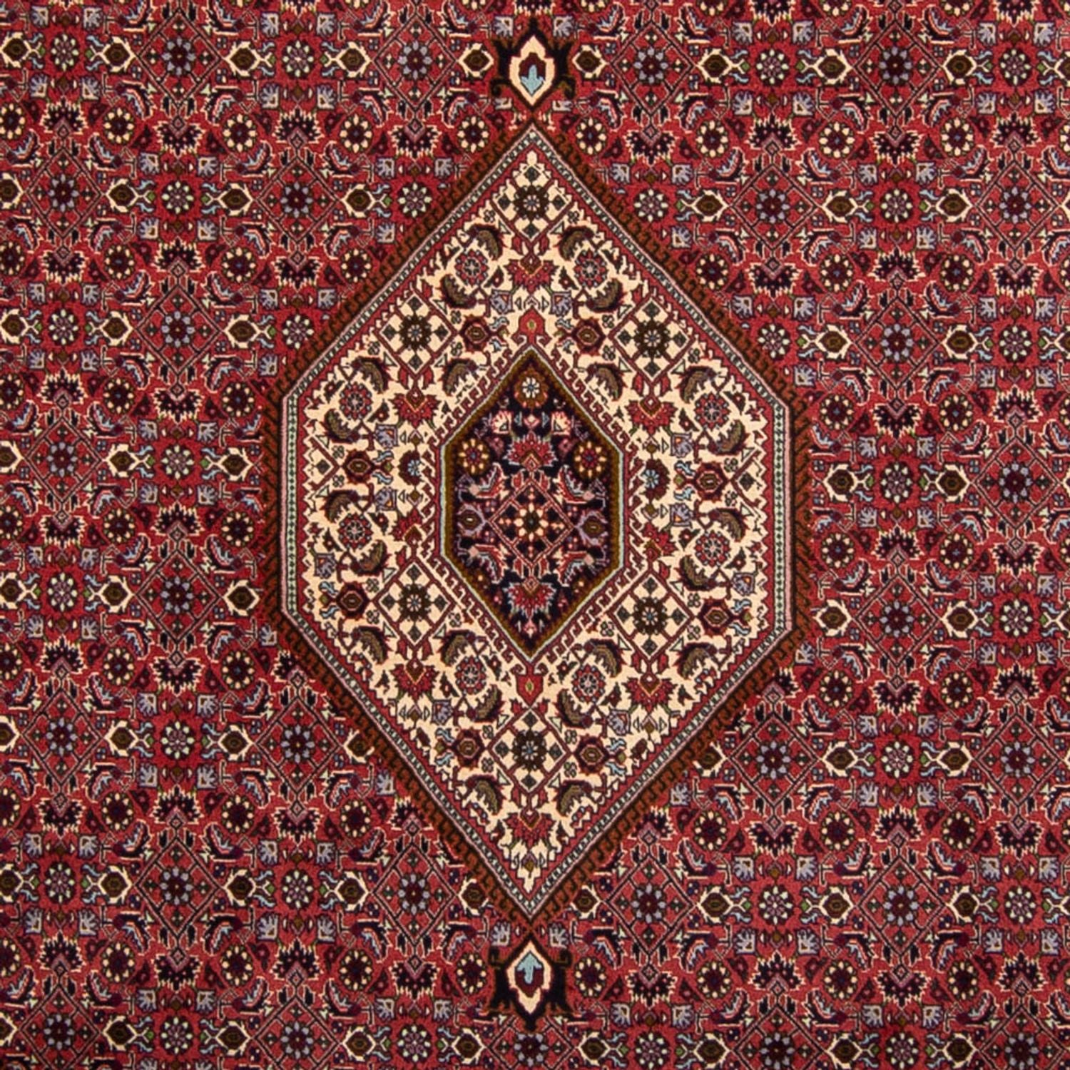 Tappeto Persero - Bidjar - 338 x 250 cm - marrone