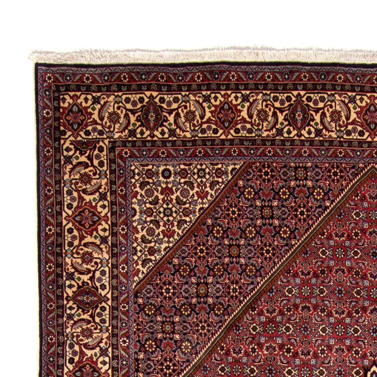 Tappeto Persero - Bidjar - 338 x 250 cm - marrone