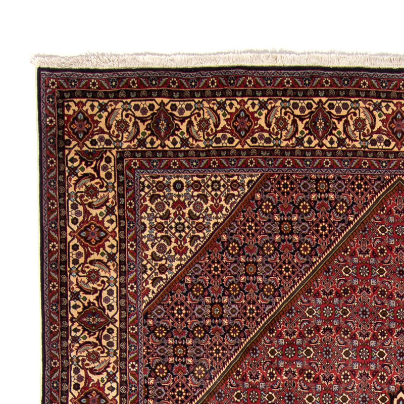Tappeto Persero - Bidjar - 338 x 250 cm - marrone