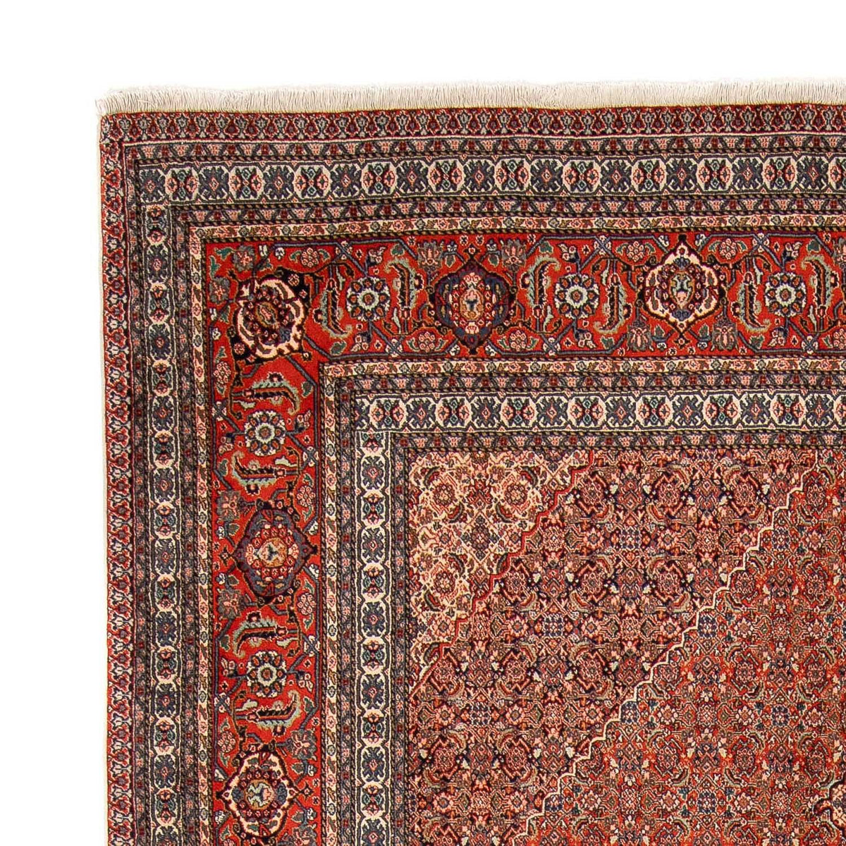 Sarab Tappeto 248x350cm - Tappeto persiano