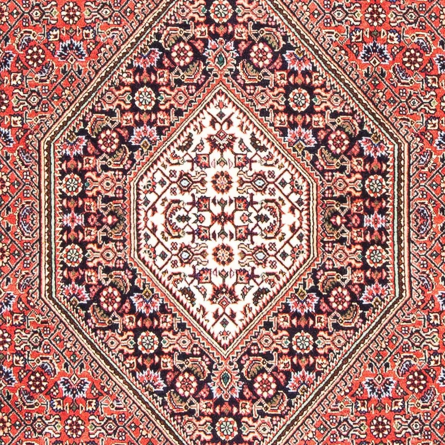 Tappeto Persero - Bidjar - 178 x 110 cm - rosso