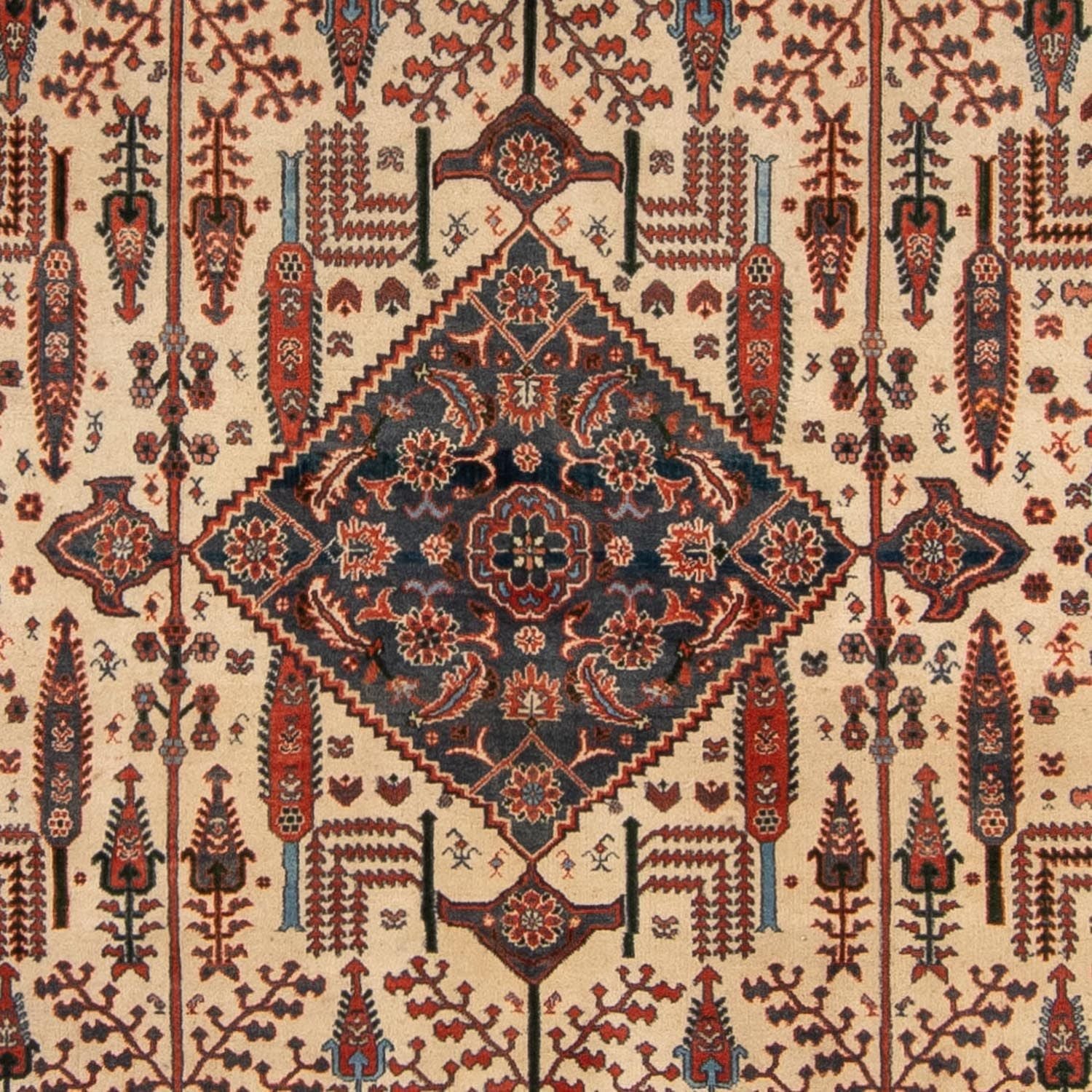 Tappeto Gabbeh - Kashkuli Persero - 258 x 230 cm - ruggine